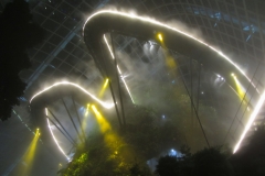 Singapore-cloud-forest