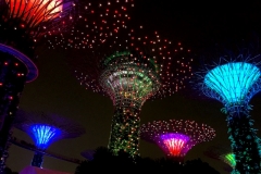 Singapore-supertree-gloves-notturno